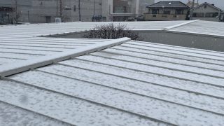 雪　降りましたね